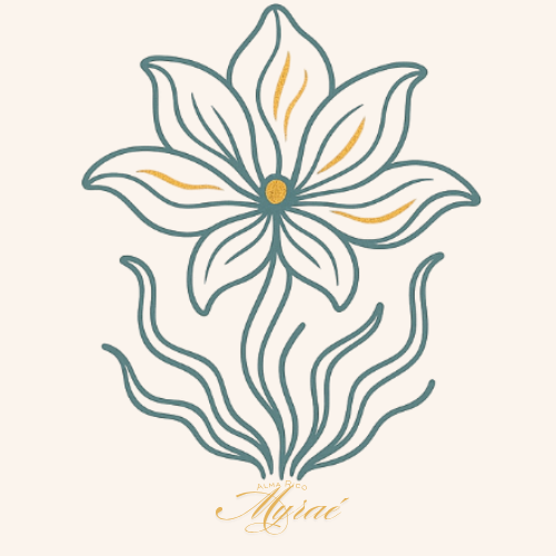 Consultoría Alma, Vector y Estrategia